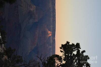 Southwest Landscape Paintings - Sunset Desert by Daniel Shearer