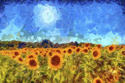 Sunflowers Royalty-Free and Rights-Managed Images - Sunflower Fields Van Gogh by David Pyatt