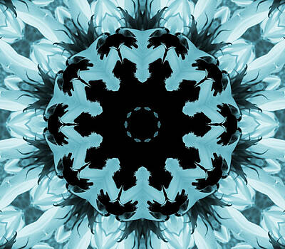 Sunflowers Digital Art - Sunflower Kaleidoscope in Blue by Aimee L Maher ALM GALLERY