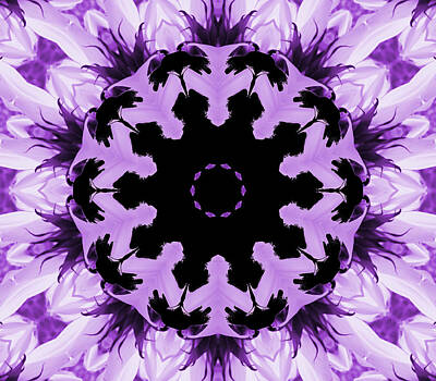 Abstract Flowers Digital Art - Sunflower Kaleidoscope in Purple by Aimee L Maher ALM GALLERY