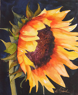 Floral Paintings - Sunflower by Karen Stark