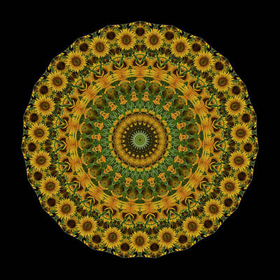 Sunflowers Royalty-Free and Rights-Managed Images - Sunflower Mandala by Mark Kiver