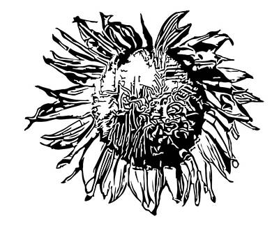 Sunflowers Digital Art - Sunflower silhouette by Miroslav Nemecek