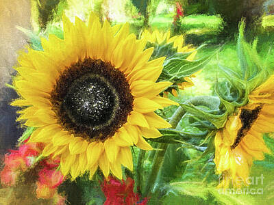 Sunflowers Digital Art - Yellow Sunflowers Flourish Visions of Summer by Mona Stut