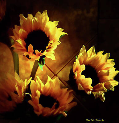 Sunflowers Rights Managed Images - Sunflowers in Shadow Royalty-Free Image by Roberta Byram