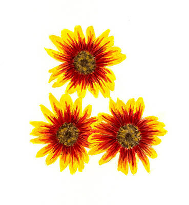 Sunflowers Paintings - 3 Sunflowers by Michael Vigliotti