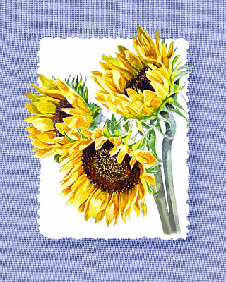 Sunflowers Royalty-Free and Rights-Managed Images - Sunflowers On Baby Blue by Irina Sztukowski