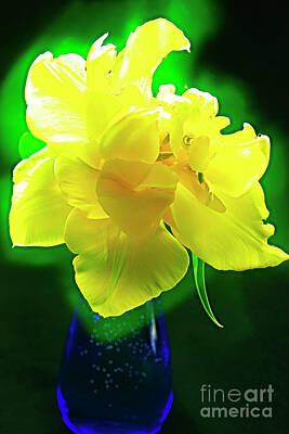 Legendary And Mythic Creatures Rights Managed Images - SUNNY TULIP in VASE. Royalty-Free Image by Alexander Vinogradov