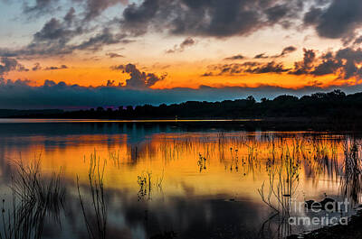 Zen Royalty Free Images - Sunrise Stillhouse Hollow Lake Royalty-Free Image by Bob Marquis