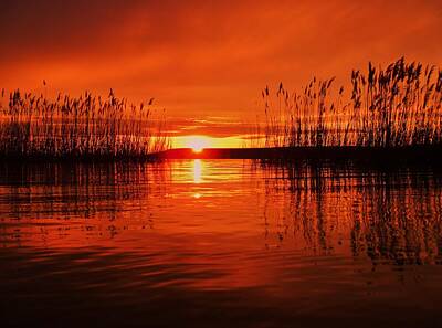 Claude Monet - Sunset and Reeds at Wilson Lake, Kansas by Greg Rud