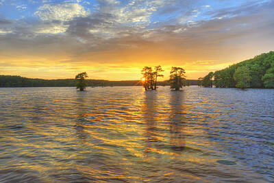 Frog Photography - Sunset at Caddo Lake 4 by Rob Greebon