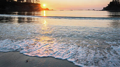 Monochrome Landscapes - Sunset Bay by Michael Scott