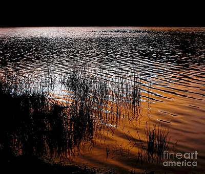Whimsical Flowers - Sunset Lake by Kaye Menner