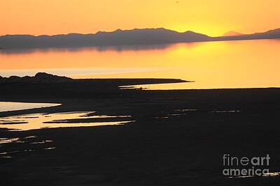 Mellow Yellow Rights Managed Images - Sunset On The Salt Lake 2 Royalty-Free Image by Tonya Hance