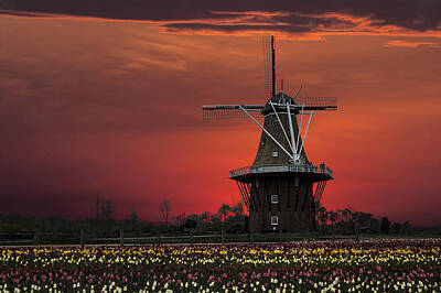 Randall Nyhof Royalty-Free and Rights-Managed Images - Sunset on Windmill Island by Randall Nyhof