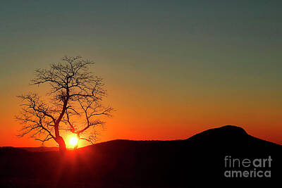 On Trend Breakfast Royalty Free Images - Sunset over Virginia Royalty-Free Image by Darren Fisher