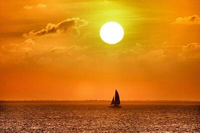 Travel Pics Photos - Sunset Sail Away   by Toni Fontana