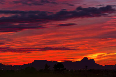 Mark Myhaver Royalty Free Images - Sunset Silhouette h1816 Royalty-Free Image by Mark Myhaver