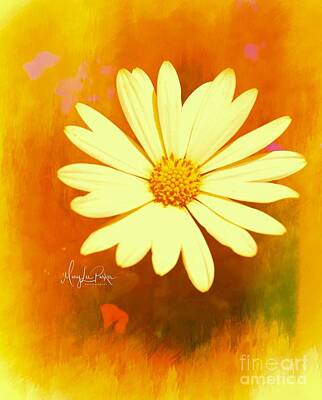 Stunning 1x -  Sunshine  by MaryLee Parker