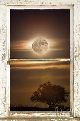 James Bo Insogna Rights Managed Images - Supermoon Country Tree Rustic Window View Royalty-Free Image by James BO Insogna