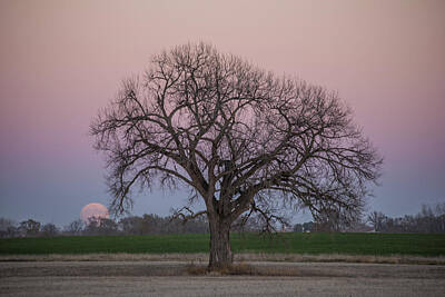 Royalty-Free and Rights-Managed Images - Supermoon Rise by Aaron J Groen