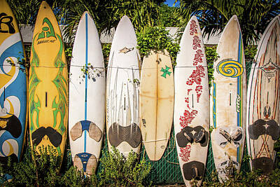 Watercolor Dogs - Surf board Fence by Cory Huchkowski
