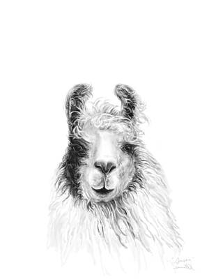Mammals Drawings - Susan by Kristin Llamas