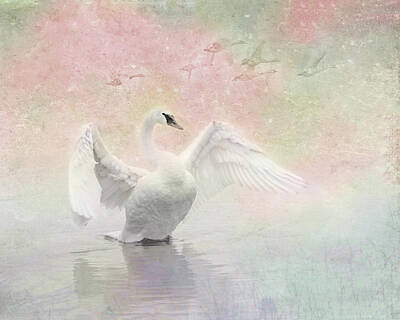 Birds Royalty Free Images - Swan Dream - Display Spring Pastel Colors Royalty-Free Image by Patti Deters
