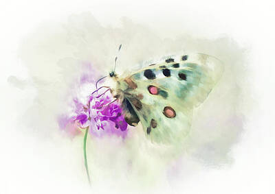 Whats Your Sign - Sweet Butterfly Nectar by Amanda Jane