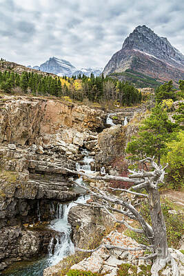 Word Signs - Swiftcurrent Falls by Daryl L Hunter