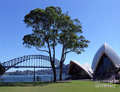 The Art Of Pottery - Sydney Harbour Green - Australia by Phil Banks