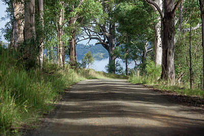 Wine Royalty Free Images - Take Me Home Country Roads Royalty-Free Image by Az Jackson