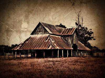 Rustic Cabin - Teaselville Texas Barns by Julie Hamilton
