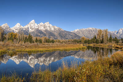 Mother And Child Animals - Teton Reflection by Kristina Rinell
