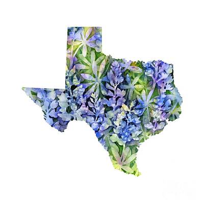 Paintings - Texas Blue Texas Map on White by Hailey E Herrera