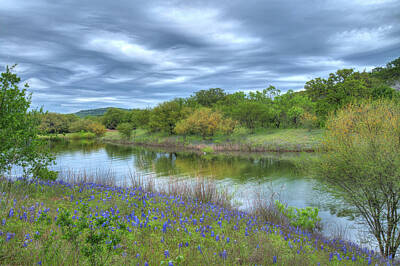 Abstract Works - Texas Bluebonnets at Lake Travis by Lynn Bauer