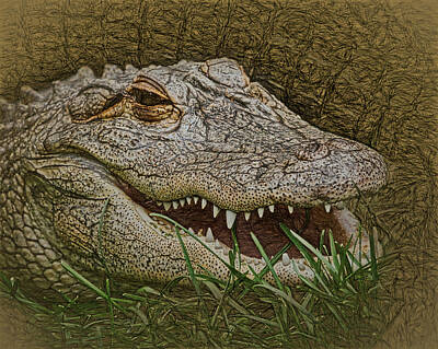 Reptiles Digital Art - The Alligator by Ernest Echols