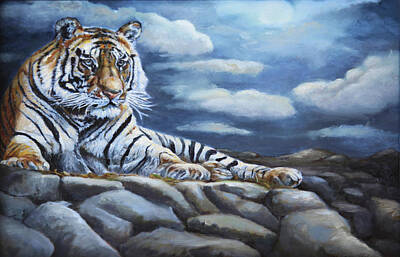 Portraits Royalty-Free and Rights-Managed Images - The Bengal Tiger by Portraits By NC