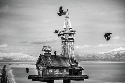 Modern Man Sharks - The Bird House by Gina Gardner