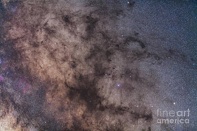 Reptiles Photos - The Dark Horse And Snake Nebulae by Alan Dyer