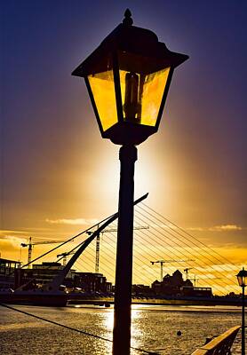 College Campus Collection - The Gold Lamps of Dublin Ireland by James Fitzpatrick