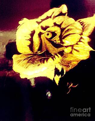 Lucky Shamrocks - The gold rose by Franky Hicks