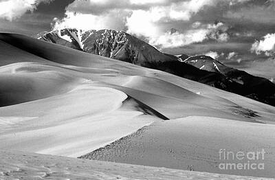 James Bo Insogna Royalty-Free and Rights-Managed Images - The Great  Sand Dunes Colorado BW by James BO Insogna