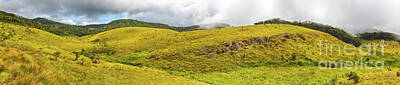 Grimm Fairy Tales Royalty Free Images - The Horton Plains. Panorama Royalty-Free Image by MotHaiBaPhoto Prints