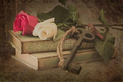Roses Photo Royalty Free Images - The Key to My Heart Royalty-Free Image by Teresa Wilson