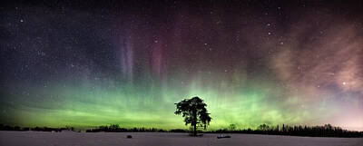 Abstract Landscape Photos - The Lone Tree early March Aurora panorama by Jakub Sisak