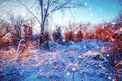 Renoir Rights Managed Images - The Magic of Winter 2 Royalty-Free Image by Lilia S
