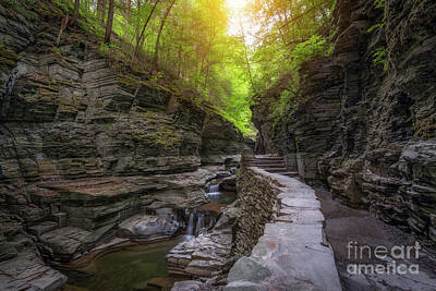 Surrealism Photo Rights Managed Images - The Path at Watkins Glen  Royalty-Free Image by Michael Ver Sprill