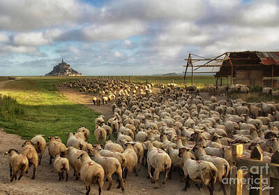 Childrens Solar System - The sheep of Mont Saint Michel by Dominique Guillaume