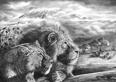 Animals Drawings Royalty Free Images - The Snows Of Kilimanjaro Royalty-Free Image by Peter Williams